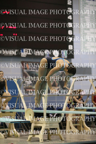 ILSWG15_DIVE_F016