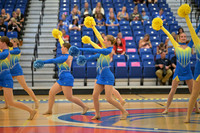 BMC26_OPENPOM_14013