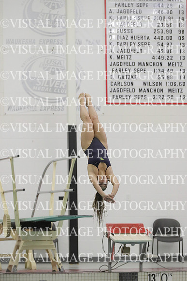 WISWG22_DIVE_2025