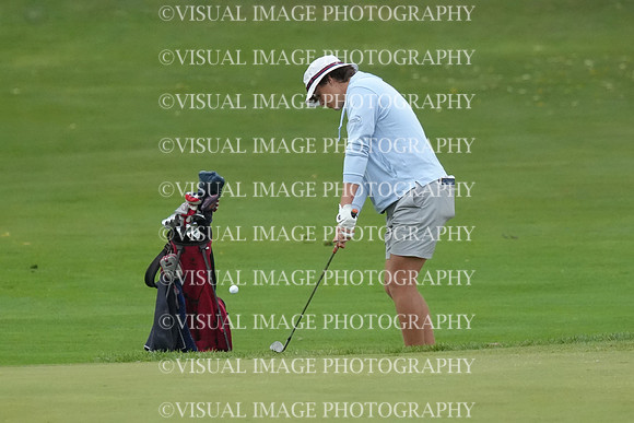 ILGF_26_T209017