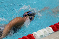 WISWG_15_S1011