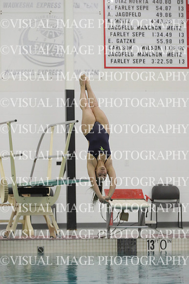 WISWG22_DIVE_2026