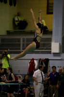 ILSWG15_DIVE_F004