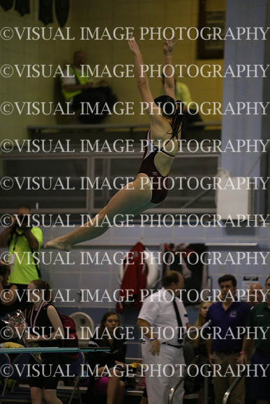ILSWG15_DIVE_F004