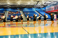 BMC26_OPENPOM_08015