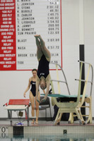 WISWG22_DIVE_2013