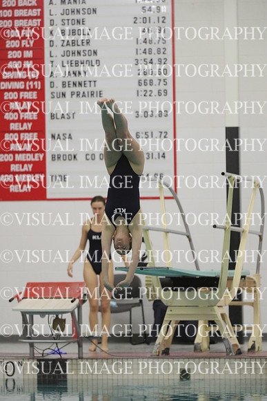 WISWG22_DIVE_2013