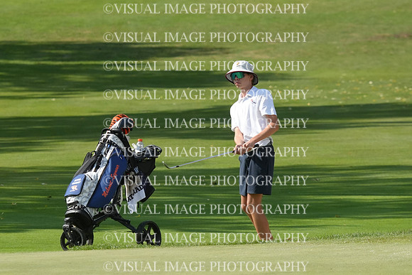 ILGF_26_T206028