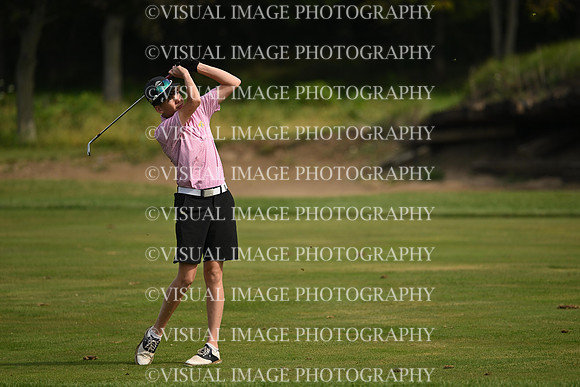 ILGF_26_T112024