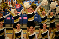 BMC26_OPENPOM_03015
