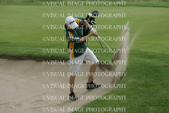 WIGF_13_3010