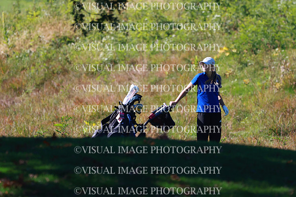 WIGFG_26_IND20001