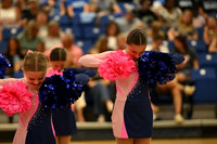 BMC26_OPENPOM_13008