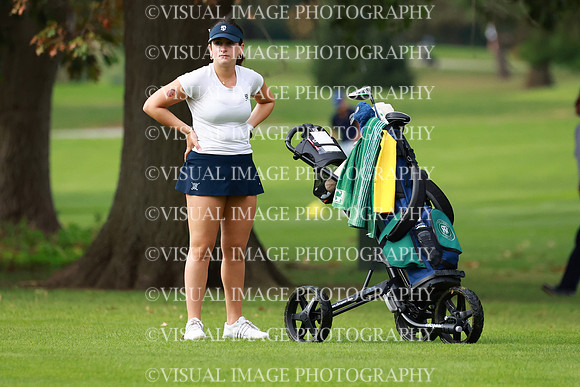 ILGFG_26_T209008