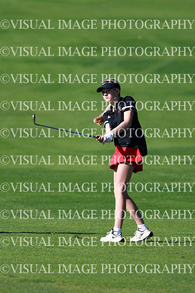 WIGFG_26_T201012