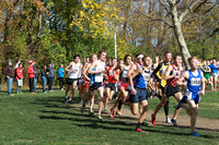 ILXC_15_20011