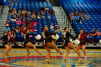 BMC26_OPENPOM_11012