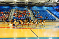 BMC26_OPENPOM_07015