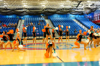 BMC26_OPENPOM_18017