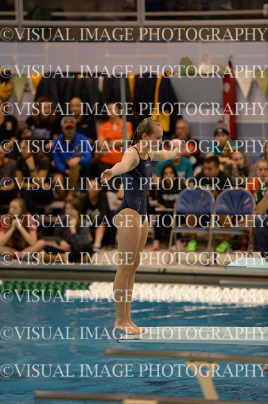 ILSWG15_DIVE_F025