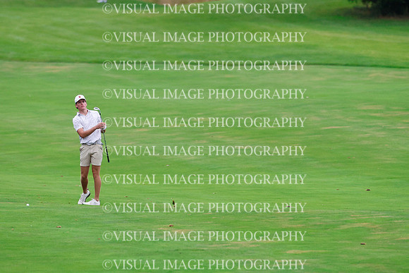 ILGF_26_IND30020