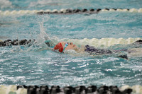 WISWG_22_20012