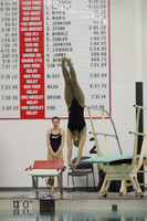 WISWG22_DIVE_2019