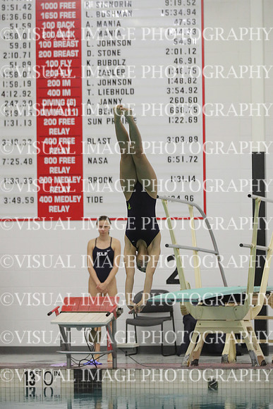 WISWG22_DIVE_2019