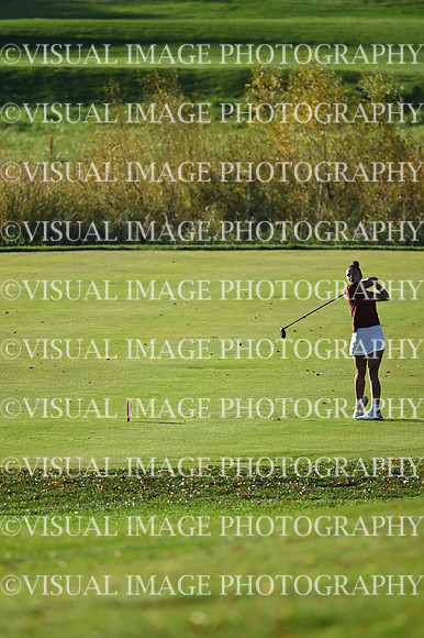 WIGFG_26_T112015