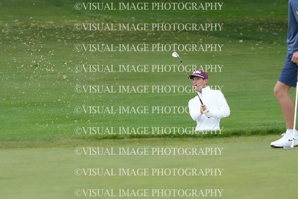 ILGF_26_T212013