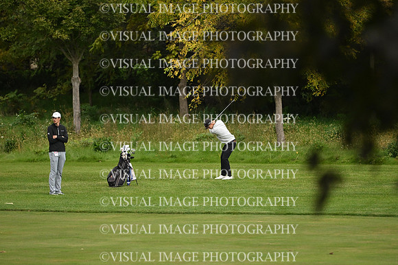 ILGF_26_T106011