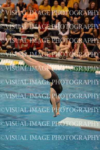 ILSWG15_DIVE_F023
