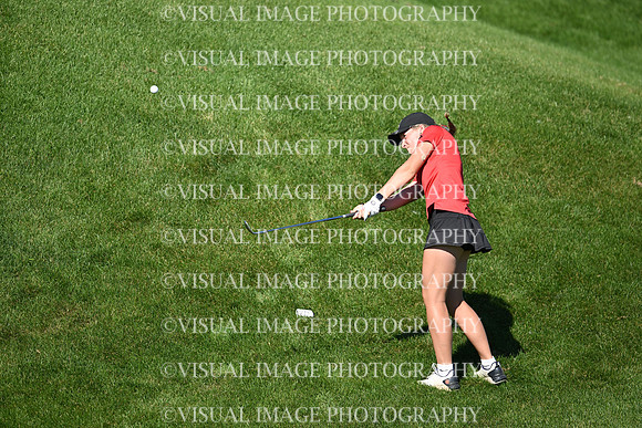 WIGFG_26_T104030
