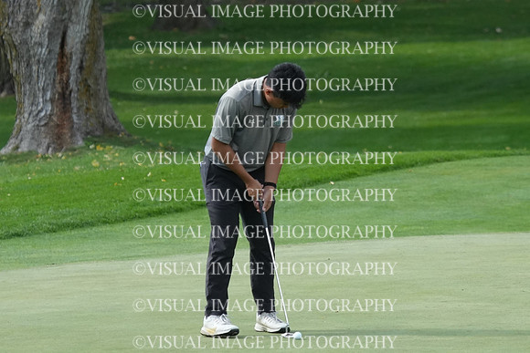 ILGF_26_IND20023