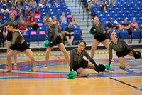 BMC26_OPENPOM_12020