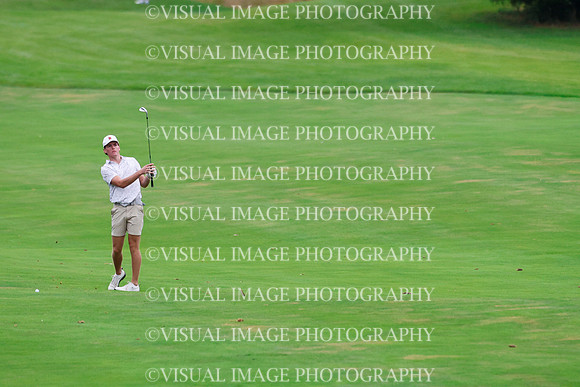 ILGF_26_IND30018