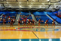 BMC26_OPENPOM_11003