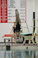 WISWG22_DIVE_2014