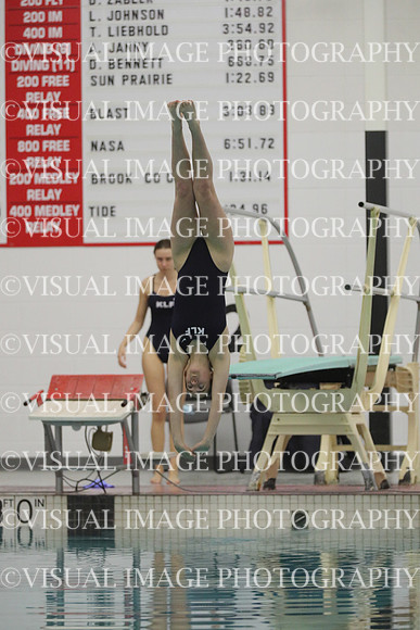 WISWG22_DIVE_2014