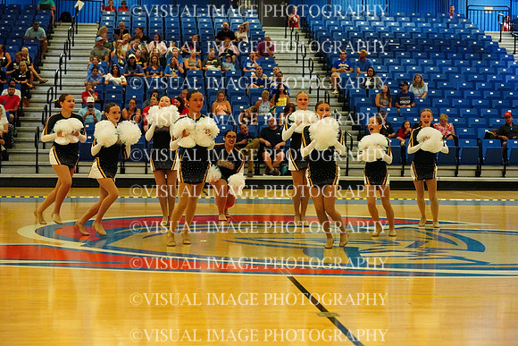 BMC26_OPENPOM_10007