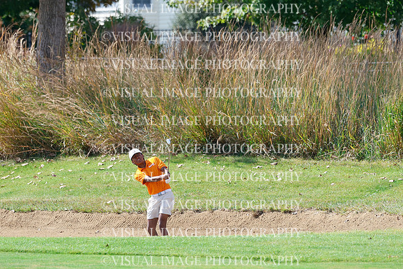 ILGF_26_T308014