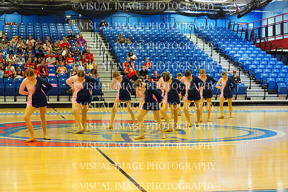 BMC26_OPENPOM_01006