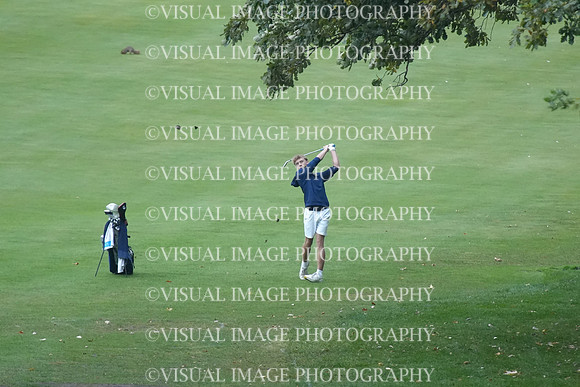 ILGF_26_T208005