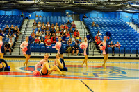BMC26_OPENPOM_01018