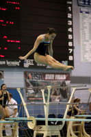 ILSWG15_DIVE_F014