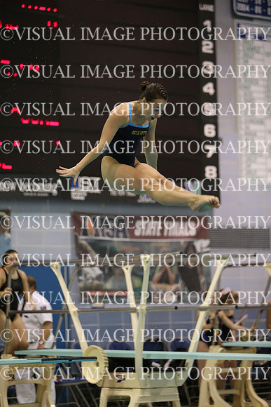 ILSWG15_DIVE_F014