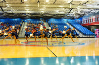 BMC26_OPENPOM_07019