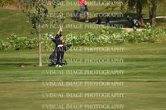 ILGF_26_T102009