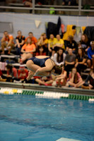 ILSWG15_DIVE_F020