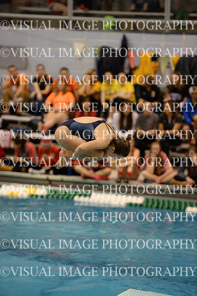 ILSWG15_DIVE_F020